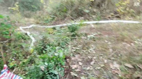 继续抽干水库。 2020-01-14 09点场