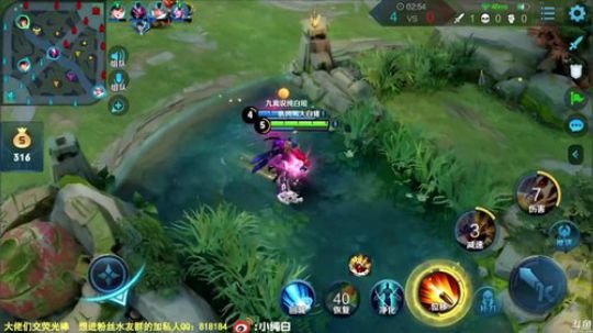 我在斗鱼看纯白直播王者荣耀