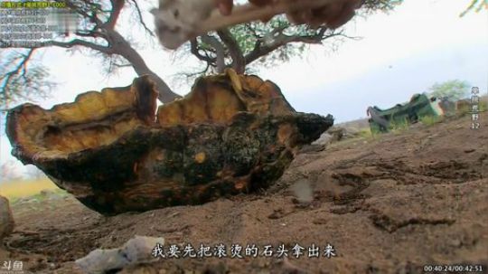 护法惊丶发布了一个斗鱼视频2020-01-16