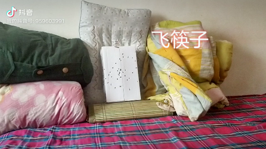 90后飞镖飞针(其实是筷子