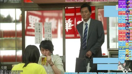 我在斗鱼看懒猫是只喵直播一起看