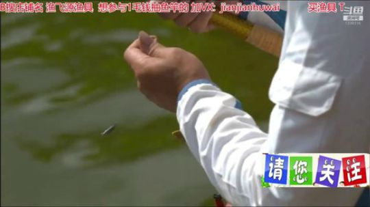 我在斗鱼看贱贱钓鱼直播乡野