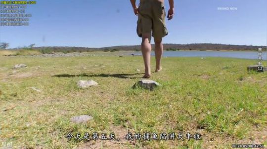 护法惊丶发布了一个斗鱼视频2020-01-16