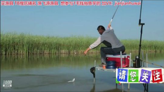 我在斗鱼看贱贱钓鱼直播乡野