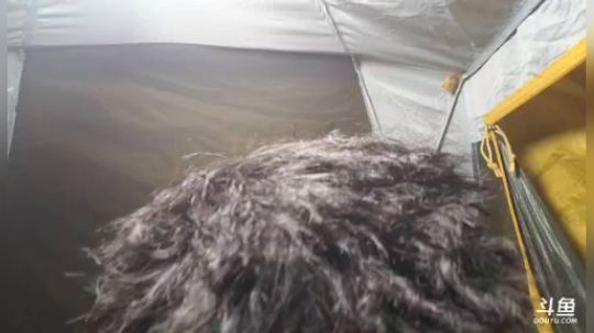 雅安，泸定桥——理塘县D3 2020-01-17 01点场