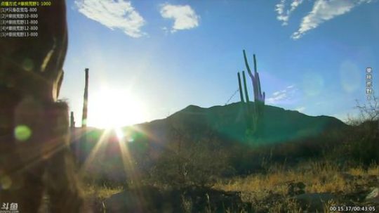 静思世语发布了一个斗鱼视频2020-01-17