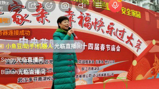 中央花园社区第十四届春节庙会