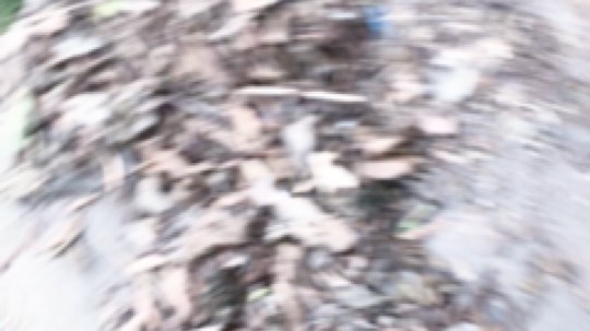 没电脑那就钓鱼吧