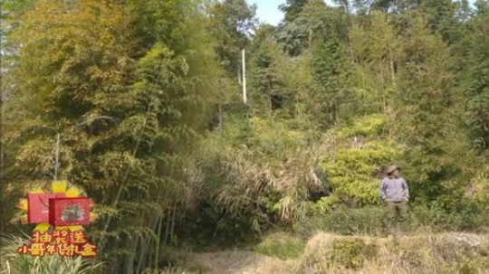 我在斗鱼看野食小哥直播美食