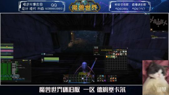 德姆萨卡尔小仙女猎人  升级啦 2020-01-17 15点场
