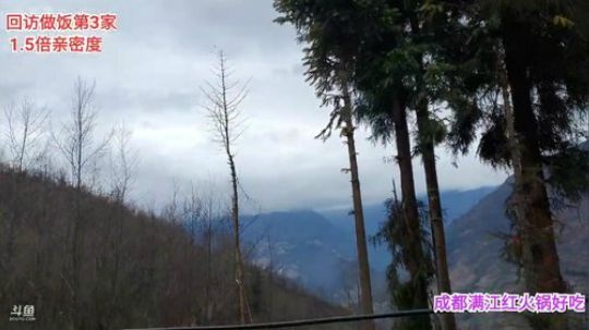 拜年回访第3家(≧ω≦)/ 2020-01-18 15点场