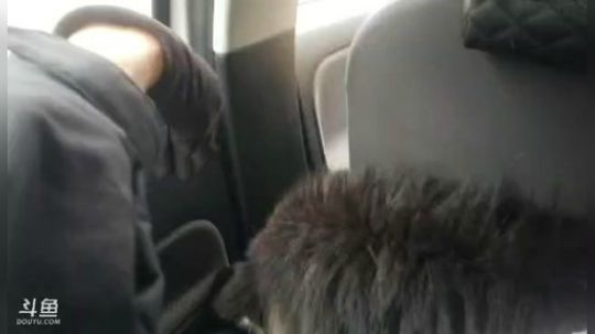 雅安，泸定桥——理塘县D4 2020-01-18 16点场