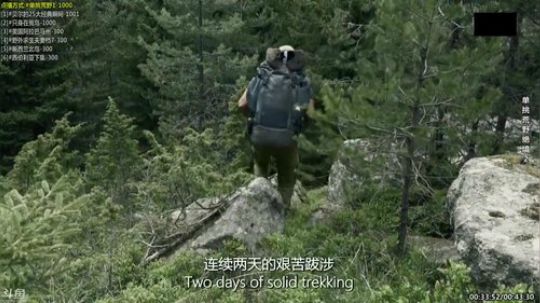 户外遛狗王飞哥发布了一个斗鱼视频2020-01-18