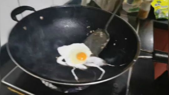 菜菜的瓜皮帽发布了一个斗鱼视频2020-01-18