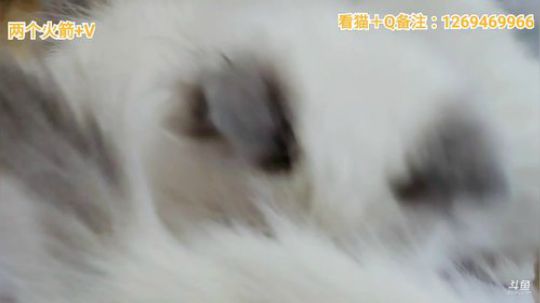 滴~您的混子女巫正在煮面~ 2020-01-18 19点场
