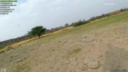 静思世语发布了一个斗鱼视频2020-01-18