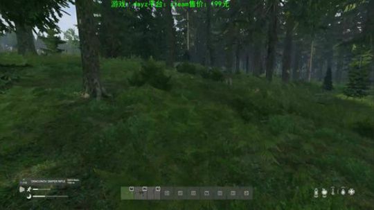 dayz僵尸末日 840351 2020-01-18 16点场