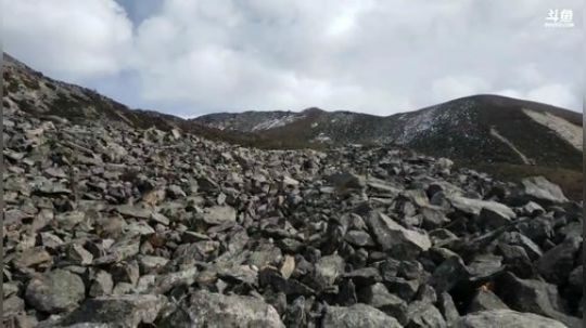 雅安，泸定桥——理塘县D5翻越折多山 2020-01-20 13点场