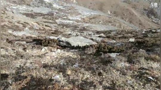 雅安，泸定桥——理塘县D5翻越折多山 2020-01-20 15点场