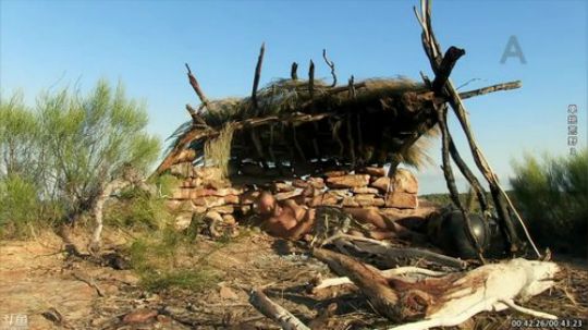 静思世语发布了一个斗鱼视频2020-01-20