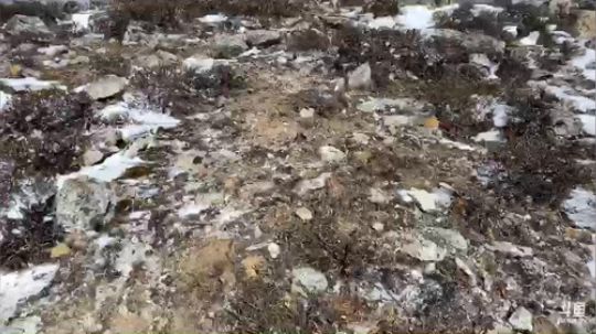 雅安，泸定桥——理塘县D6翻越折多山 2020-01-21 11点场