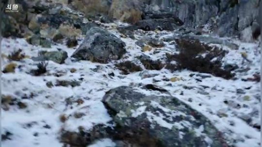 雅安，泸定桥——理塘县D6翻越折多山 2020-01-21 09点场