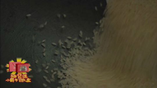 我在斗鱼看野食小哥直播美食