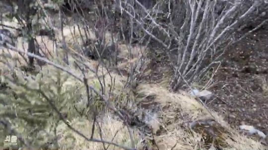 雅安，泸定桥——理塘县D6翻越折多山 2020-01-21 14点场