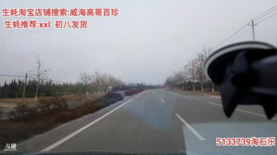 西北老狼哥哥发布了一个斗鱼视频2020-01-23