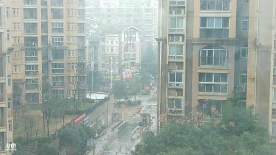 武汉本土主播春节期间全程直播 2020-01-24 15点场