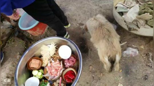 科头溜子发布了一个斗鱼视频2020-01-24