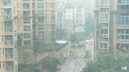 武汉本土主播春节期间全程直播 2020-01-23 16点场