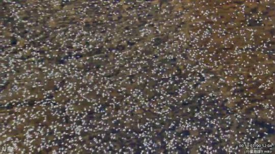 静思世语发布了一个斗鱼视频2020-01-24