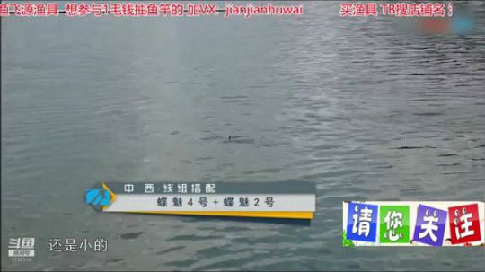我在斗鱼看贱贱钓鱼直播乡野