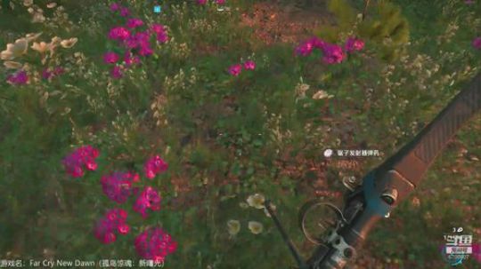 莽夫又开始搞事情了 2020-01-26 12点场