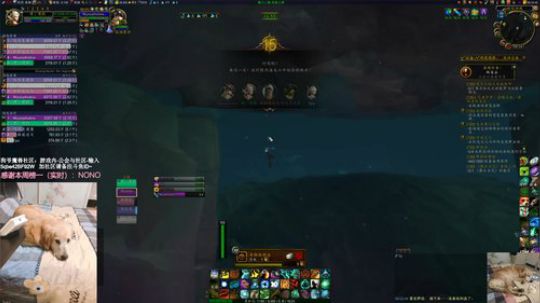 # 狗爷 - 做任务？不存在的 2020-01-19 23点场