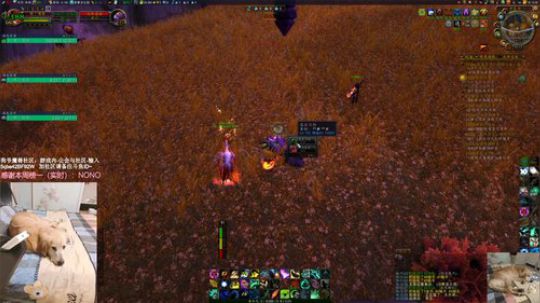 # 狗爷 - 做任务？不存在的 2020-01-17 15点场