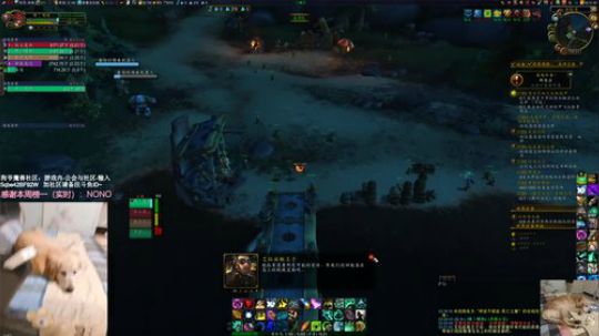 # 狗爷 - 做任务？不存在的 2020-01-20 01点场