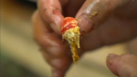 哆啦爱梦梦发布了一个斗鱼视频2020-01-27