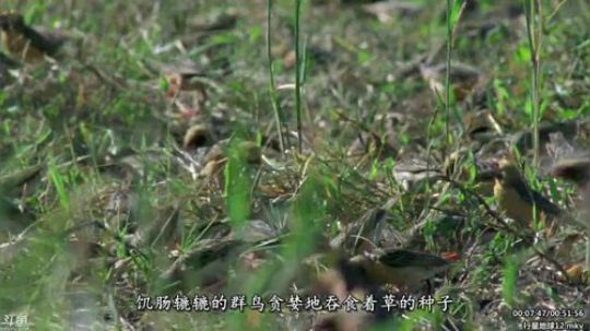 静思世语发布了一个斗鱼视频2020-01-27