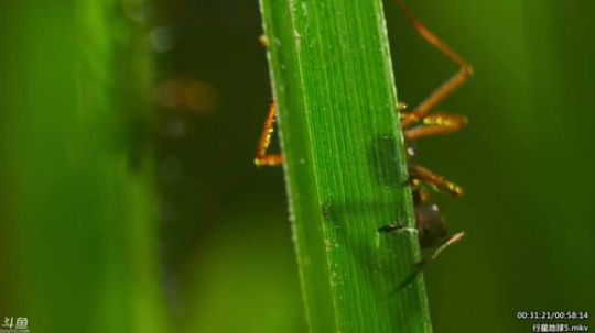 静思世语发布了一个斗鱼视频2020-01-28