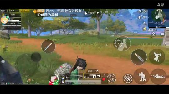 看一下喽