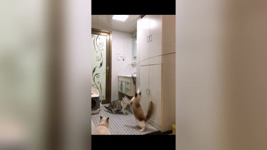 给大家看看身处武汉的我 生活现状