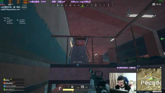 我在斗鱼看pigff直播绝地求生
