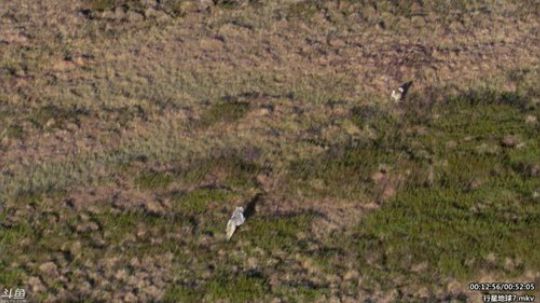 静思世语发布了一个斗鱼视频2020-01-29