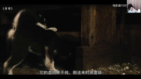 RPGseven发布了一个斗鱼视频2020-01-29