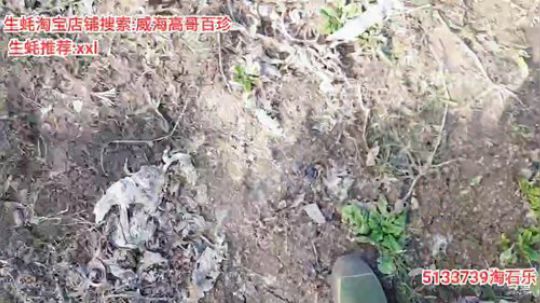 龙马精神丶老狼哥发布了一个斗鱼视频2020-01-30