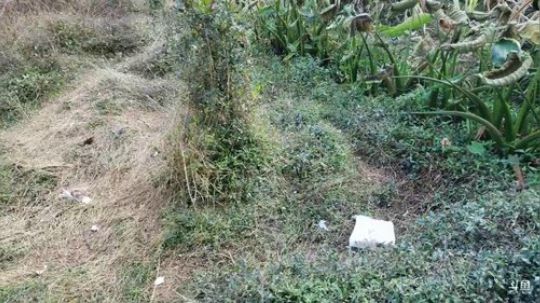 天气好起来了 2020-01-30 15点场