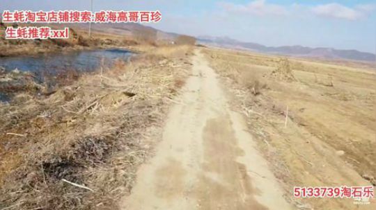 龙马精神丶老狼哥发布了一个斗鱼视频2020-01-30