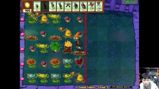 植物大战僵尸 无尽版 2020-01-30 00点场